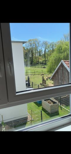 Blick ins Grüne