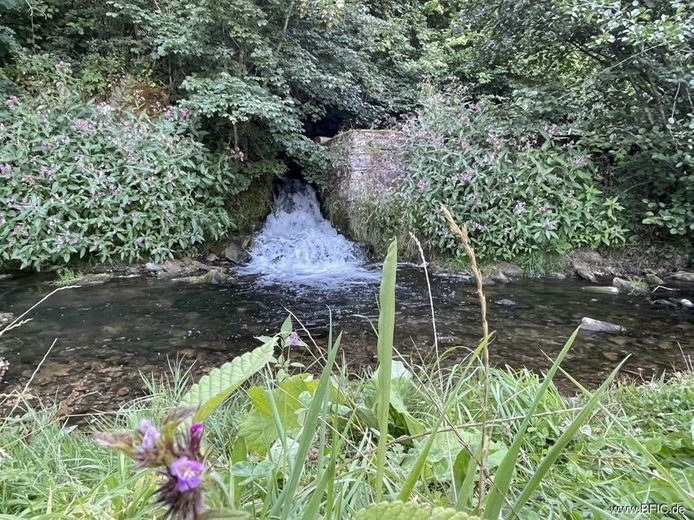 Campingplatz, Zimmervermietung und Gastronomie - gepflegte Familienexistenz in der Eifel – Fluss Oos
