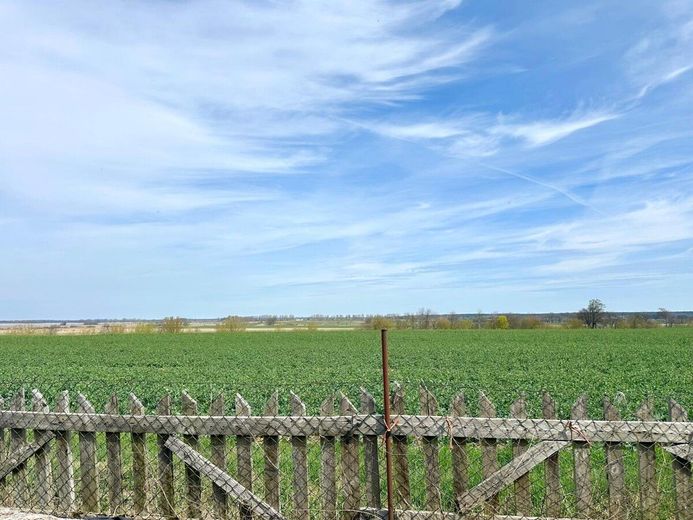 HORN IMMOBILIEN ++ Alleinlage gesucht? Einfamilienhaus, voll unterkellert in Gehren bei Strasburg – Aussicht