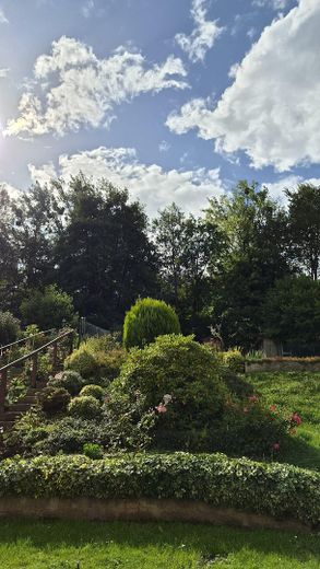 Dom szeregowy w Bad Gandersheim z pięknym ogrodem i piwnicą OD OSOBY PRYWATNEJ! – Blick in den Garten von oben