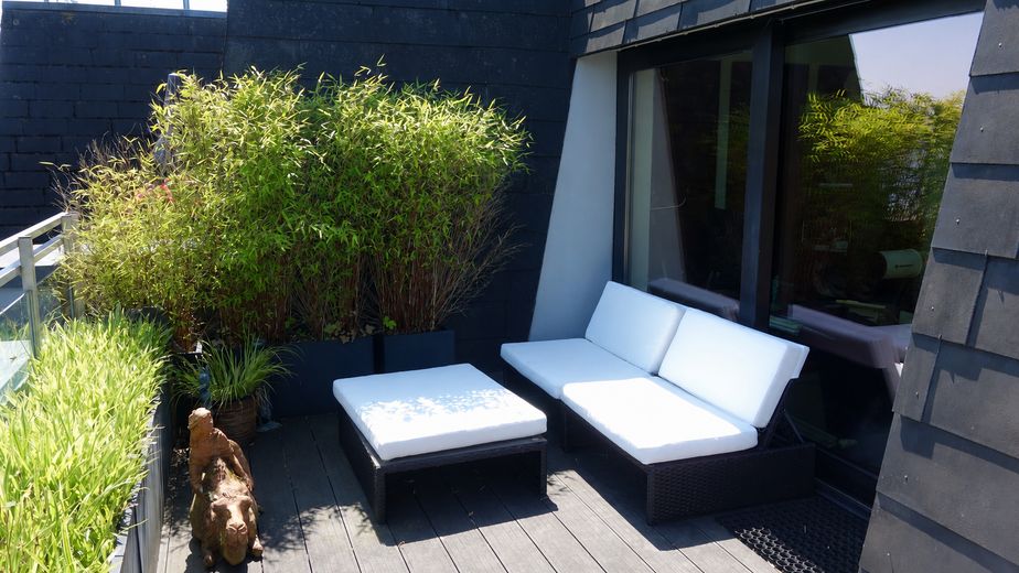 Einzigartiges Penthouse mit Fördeblick & Waldlage in Wassersleben – 156 m² Wohnkomfort – Sonnendeck