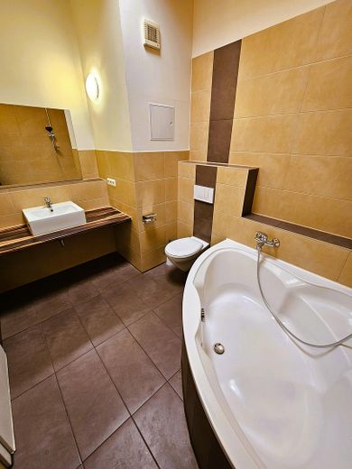 116qm 3-Raum-Wohnung (Erstbezug nach Renovierung) im Energieeffizienzhaus – Bsp vor Sanierung