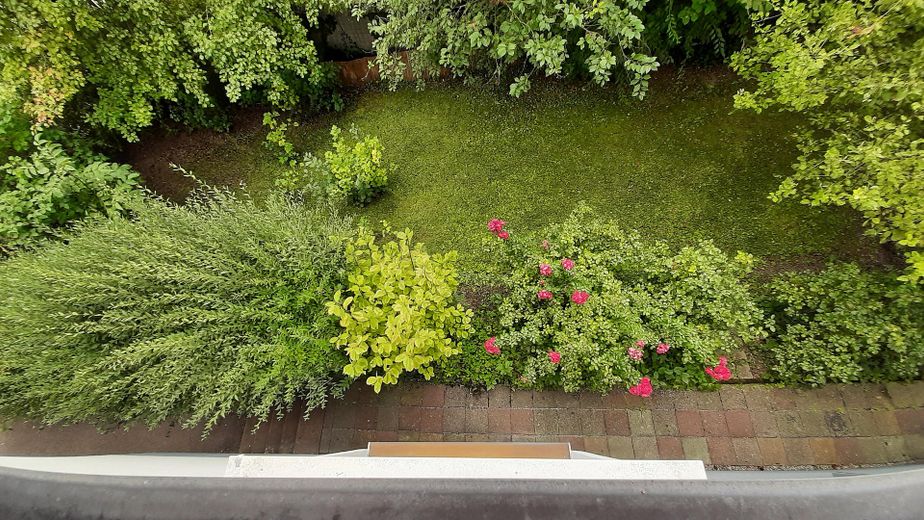 Gartenanteil von oben 