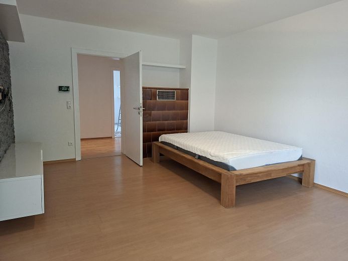 Stilvolles renoviertes Single-Apartment mit Altbau-Charme – Provisionsfrei! – Wohn-/Schlafbereich