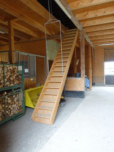 Großzügiger Bungalow auf weitläufigem Grundstück – und optionaler Pferdehaltung – Foto 27