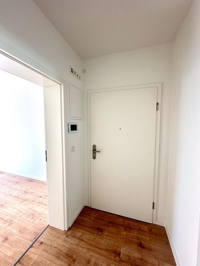 3 Zimmerwohnung - in Algermissen – Wohnungseingangstür