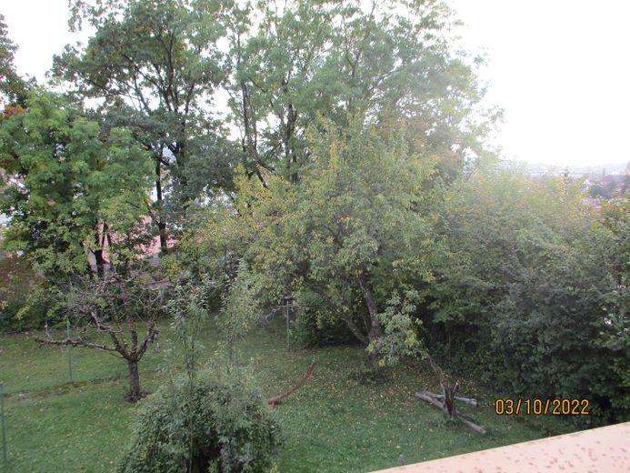 Blick vom Balkon auf Garten
