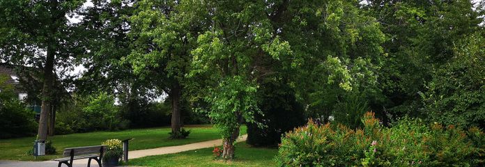 Aussicht straßenseitig