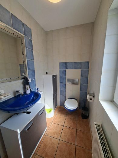 Modernisiertes Einfamilienhaus mit Wärmepumpe, großer PV-Anlage und großzügigem Grundstück – Gäste-WC