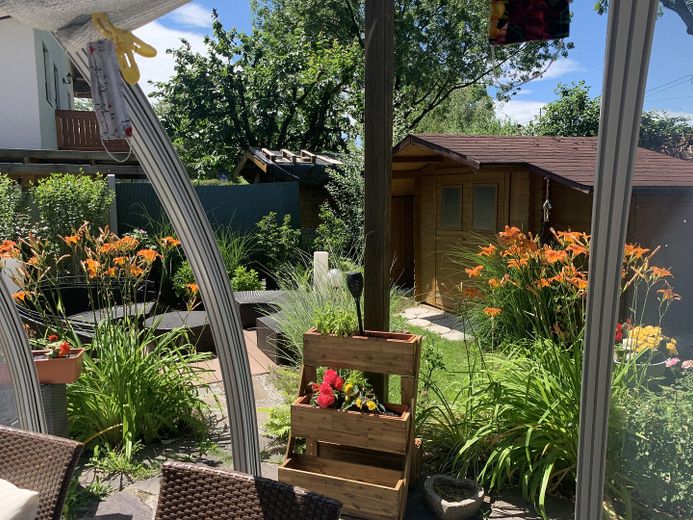 Blick in den Garten 