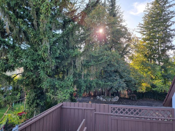 4-Room Apartment in Gröbenzell – First Occupancy After Complete Renovation – Gartenblick vom Balkon