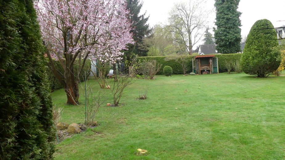 Garten Frühling
