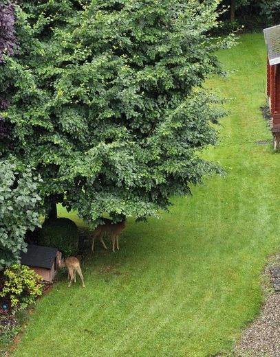 Blick aus dem Schlafzimmer