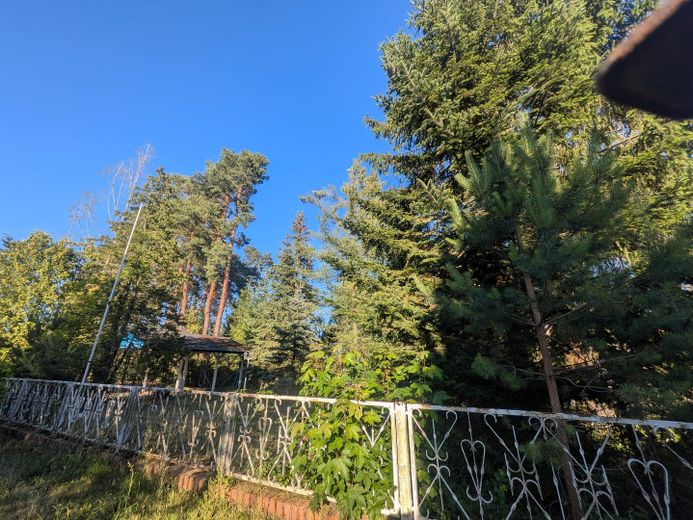 Blick ins Grundstück