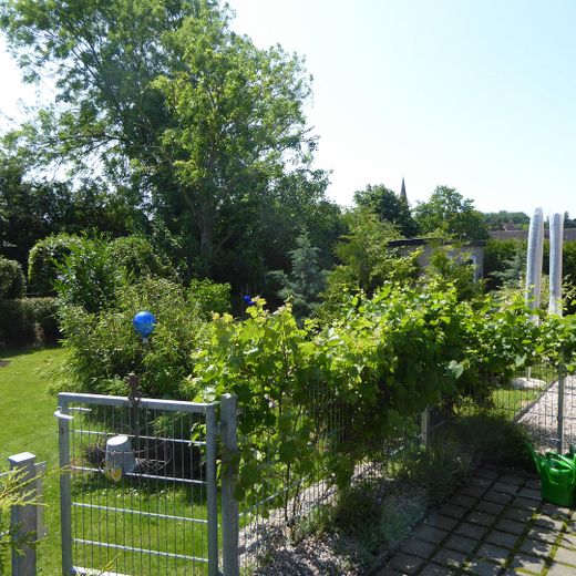 VON PRIVAT - STIL & CHARME! - Photovoltaik, Raumwunder, Garten, Gartenhaus... – Eingang gr. Garten hintere DHH