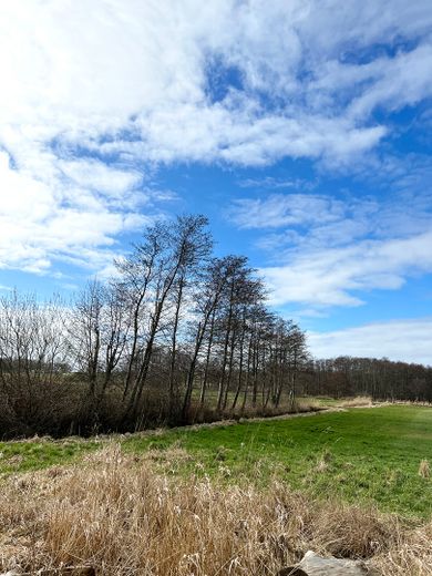 Ferieninvestment + Lebensperspektive + Land auf Rügen – Erlenhain zw. Flst 93 und 92