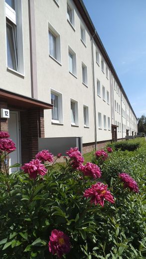 2 odalı daire / Stadtfeld West / 62m² – Foto 2