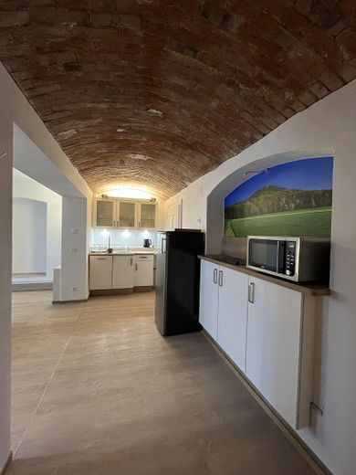 smart single apartment with modern fitted kitchen, ready to move in, right by the Landeskrone, separate parking space available – Gemeinschaftlicher Partykeller