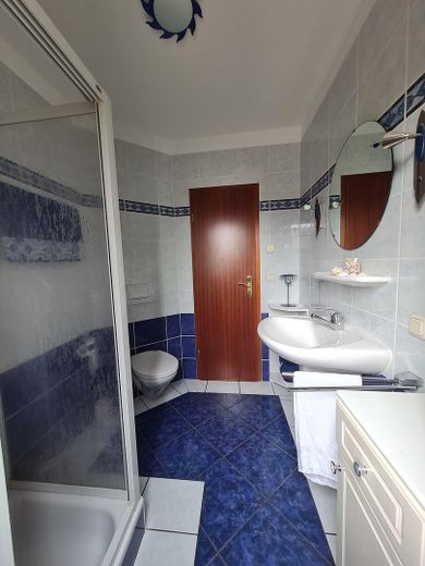 Gäste-Wc mit Duschbad EG