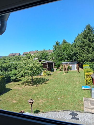 Blick in den Garten 