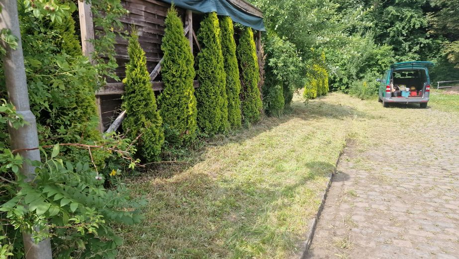 Garten