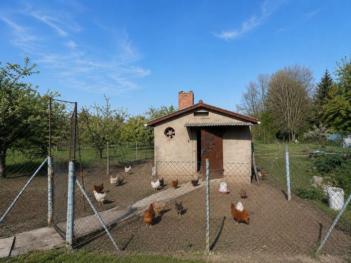 Hühnerstall