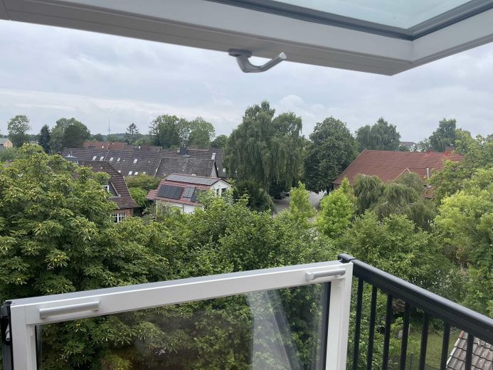 Ausblick Velux Cabrio