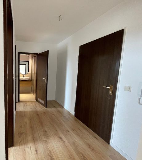 Renovierte 2-Zimmer-Wohnung mit modernem Bad, Balkon, Blick ins Grüne & Aufzug - provisionsfrei – Flur