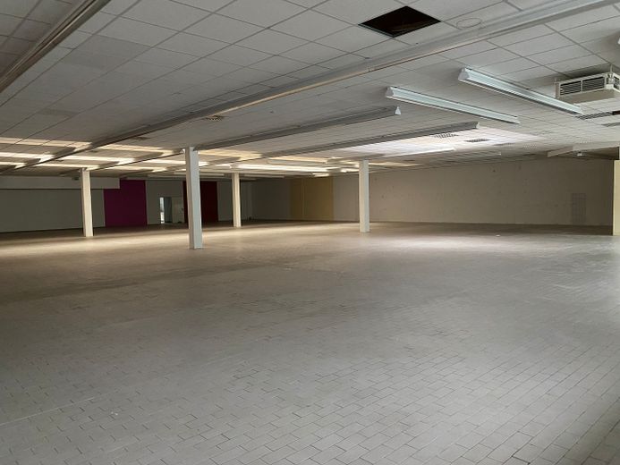 Gewerbefläche Lager, Handel, Produktion, teilbar – Lager groß