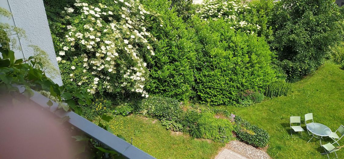ETW-Blick Westbalkon, Grundstü