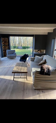 REETDACHLANDHAUS Wittenbergen – Foto 16
