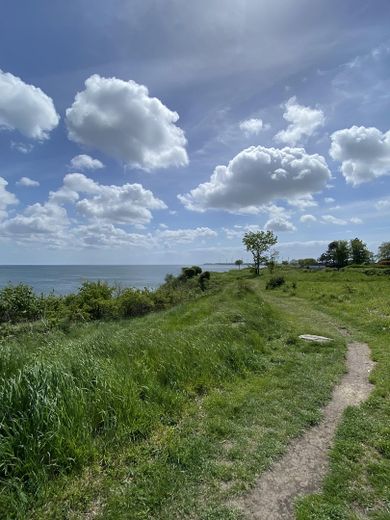 Ferienwohnung mit Garten auf Fehmarn – 300 m zur Ostsee, 25.000 € Jahresumsatz – Foto 8