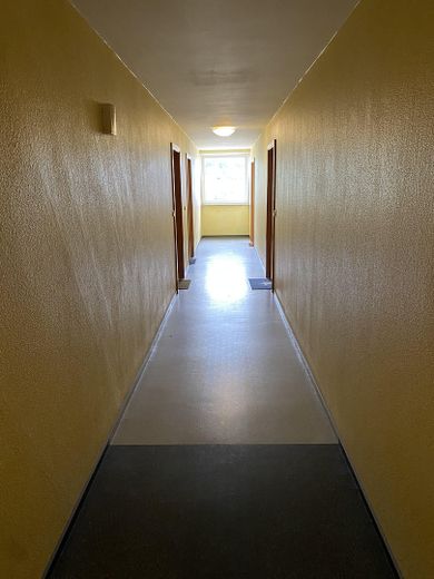 Sehr gepflegte 1-Zimmer-Wohnung in Sindelfingen Goldberg, 300m zur S-Bahnhaltestelle, von Privat – Flur zur Wohnung