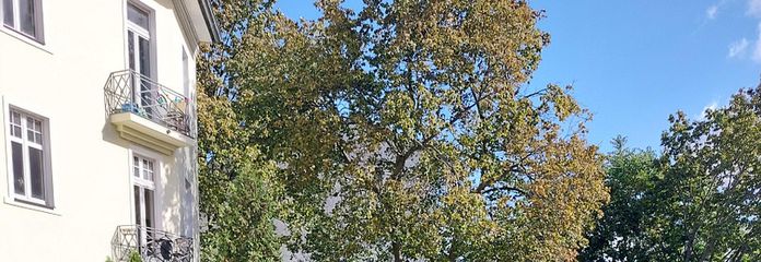 Без комісії: вигідно розташована щодо транспорту та тихо розташована практика або офіс на північній околиці Пренцлауер-Берга – Blick in Hof