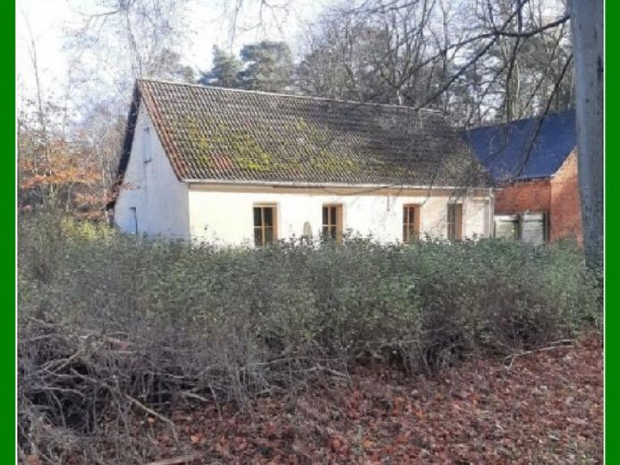*** Haus am Wald - fast Alleinlage *** – Foto 1