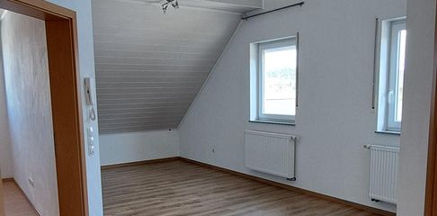 DG Studio
