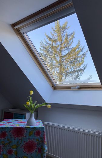 Gezinsvriendelijk huis in de Steenkampsiedlung – Foto 10