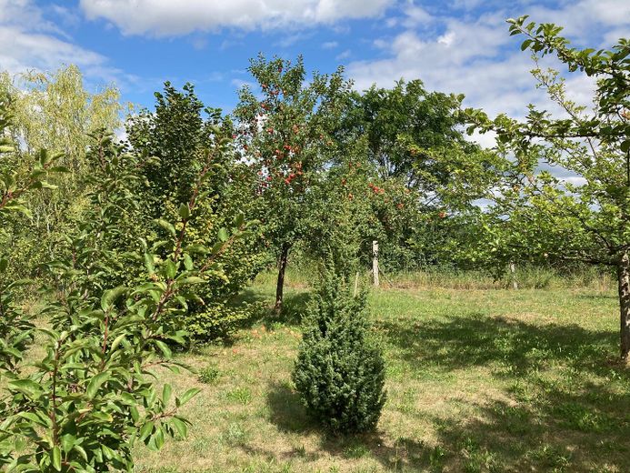 traumhaftes Bauland am Naturschutzgebiet – Foto 14