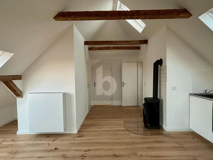 MINIATUUR PENTHOUSE MET LOFT-KARAKTER – Foto 1