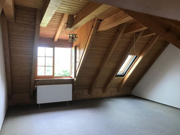 Stylische DG-Maisonette in Mirow – Wohnen (untere Ebene)