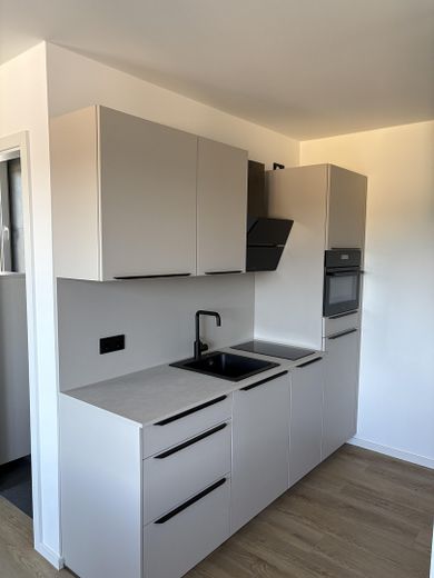 İlk kiralama: Mobilyalı, seçkin penthouse 1 odalı daire, yüksek kaliteli yeni binada – Foto 8