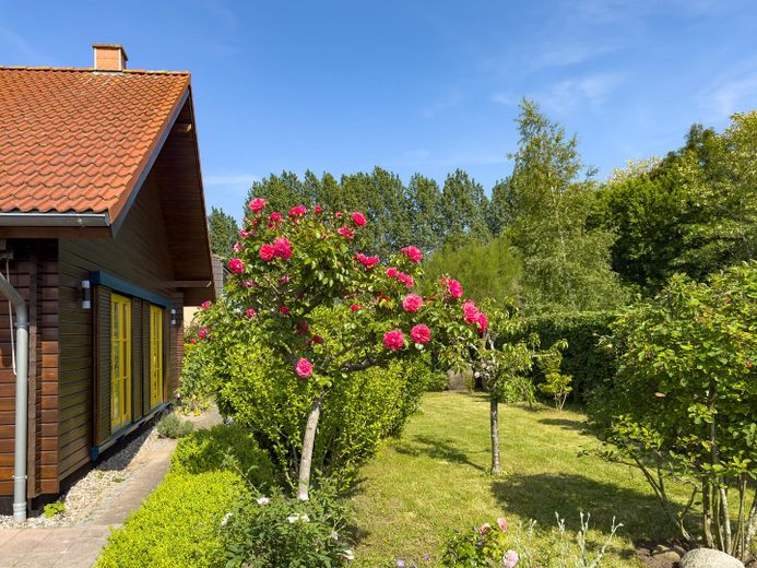 Blick in den Garten
