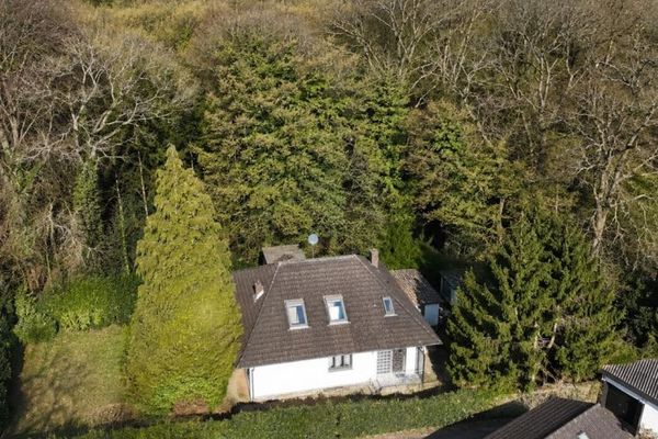 Abrissbirne trifft Paradies - großzügiges Baugrundstück am Waldrand von Köln-Brück