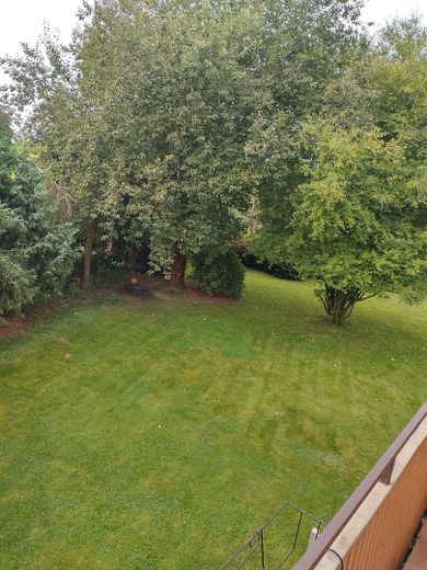 Bad Iburg, helle 3 Zimmerwohnung *PROVISIONSFREI* – Ausblick hinten