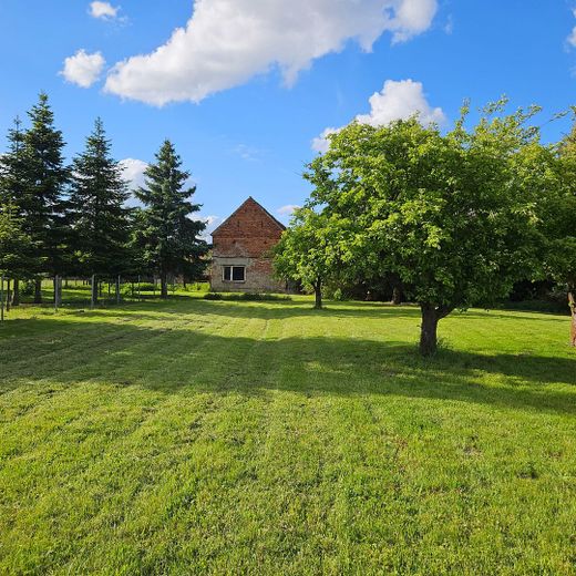 Hofanlage mit Wohnhaus, Scheune & ca. 5.000 m² Land – provisionsfrei – Wiese mit Scheunenblick