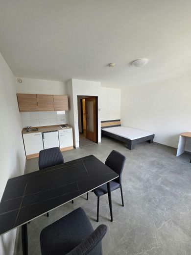 Vollmöblierte 1-Zimmer-Wohnung – modern  – 29 m² – sofort bezugsfrei! – Wohnung 16