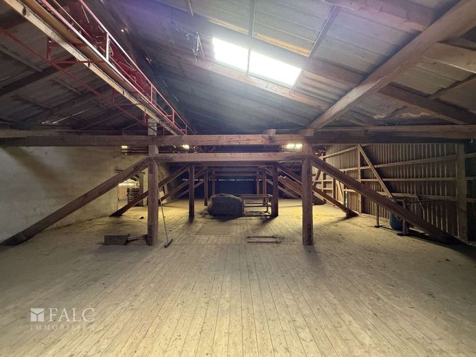 ***Mehrfamilienhaus &amp; Exklusiver Pferdehof mit Reitanlage auf ca 21.000 m² Grundstück*** – Dachboden