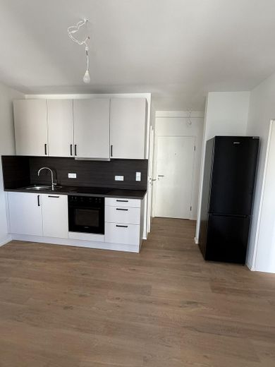 Erstbezug Kernsaniert | Helle 2-Zimmer Wohnung mit Balkon in München-Giesing – Wohnküche Ansicht 2