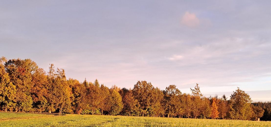 farbenfrohe Herbststimmung
