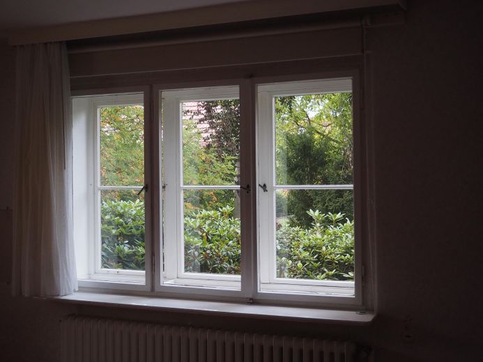 Fenster Garten